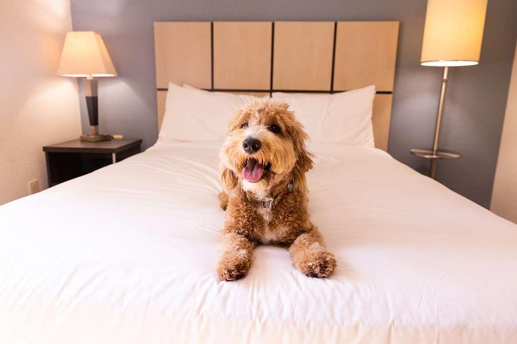 Sonesta Simply Nashville